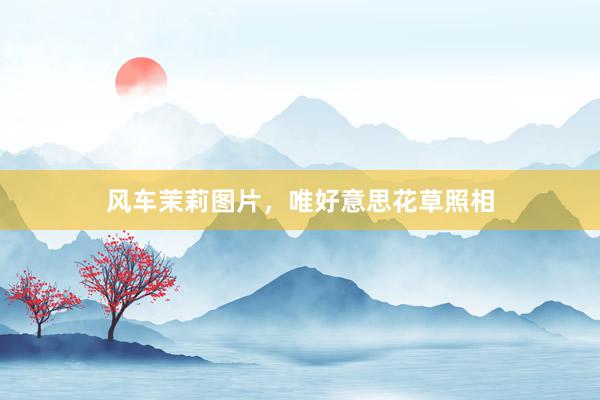 风车茉莉图片，唯好意思花草照相