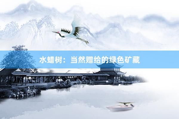 水蜡树：当然赠给的绿色矿藏