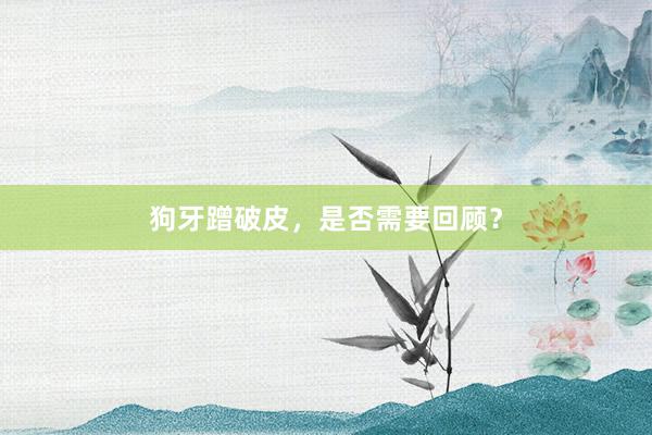 狗牙蹭破皮，是否需要回顾？