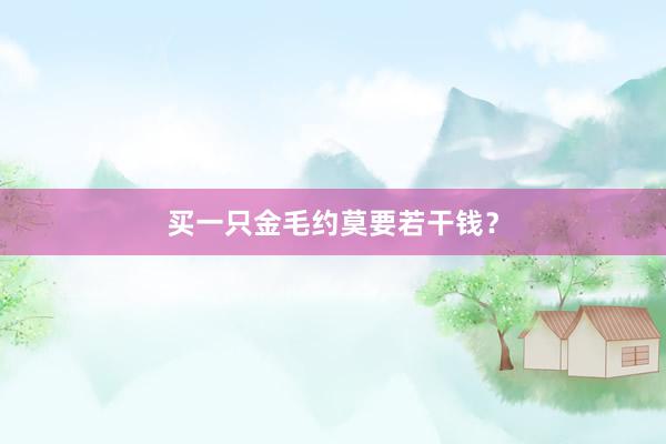 买一只金毛约莫要若干钱?