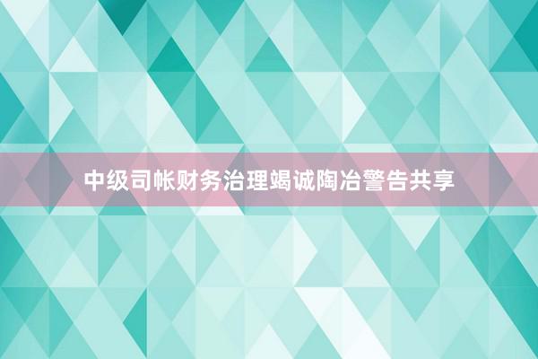 中级司帐财务治理竭诚陶冶警告共享